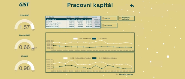 Reportingová mapa - Pracovní kapitál